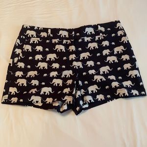 Ann Taylor Loft Shorts